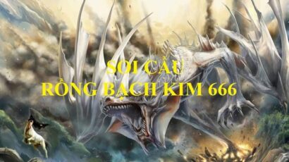 Tìm hiểu khái niệm kết quả rồng bạch kim 666