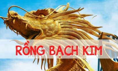 Người chơi cần có kiến thức về rồng bạch kim 366